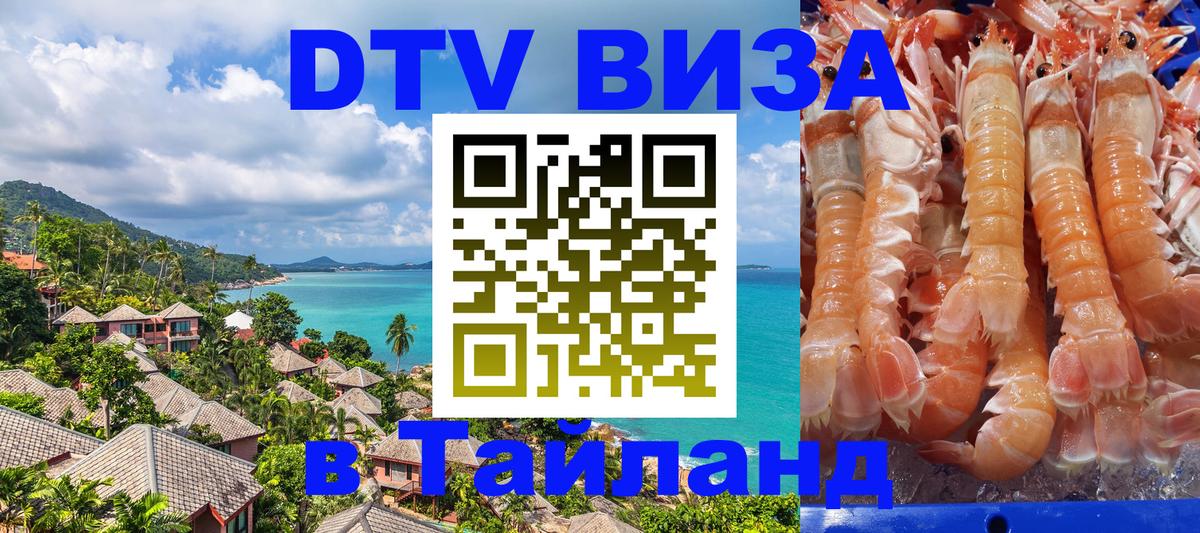 Оформление DTV визы под ключ: стоимость и тарифы, только загранпаспорт - 